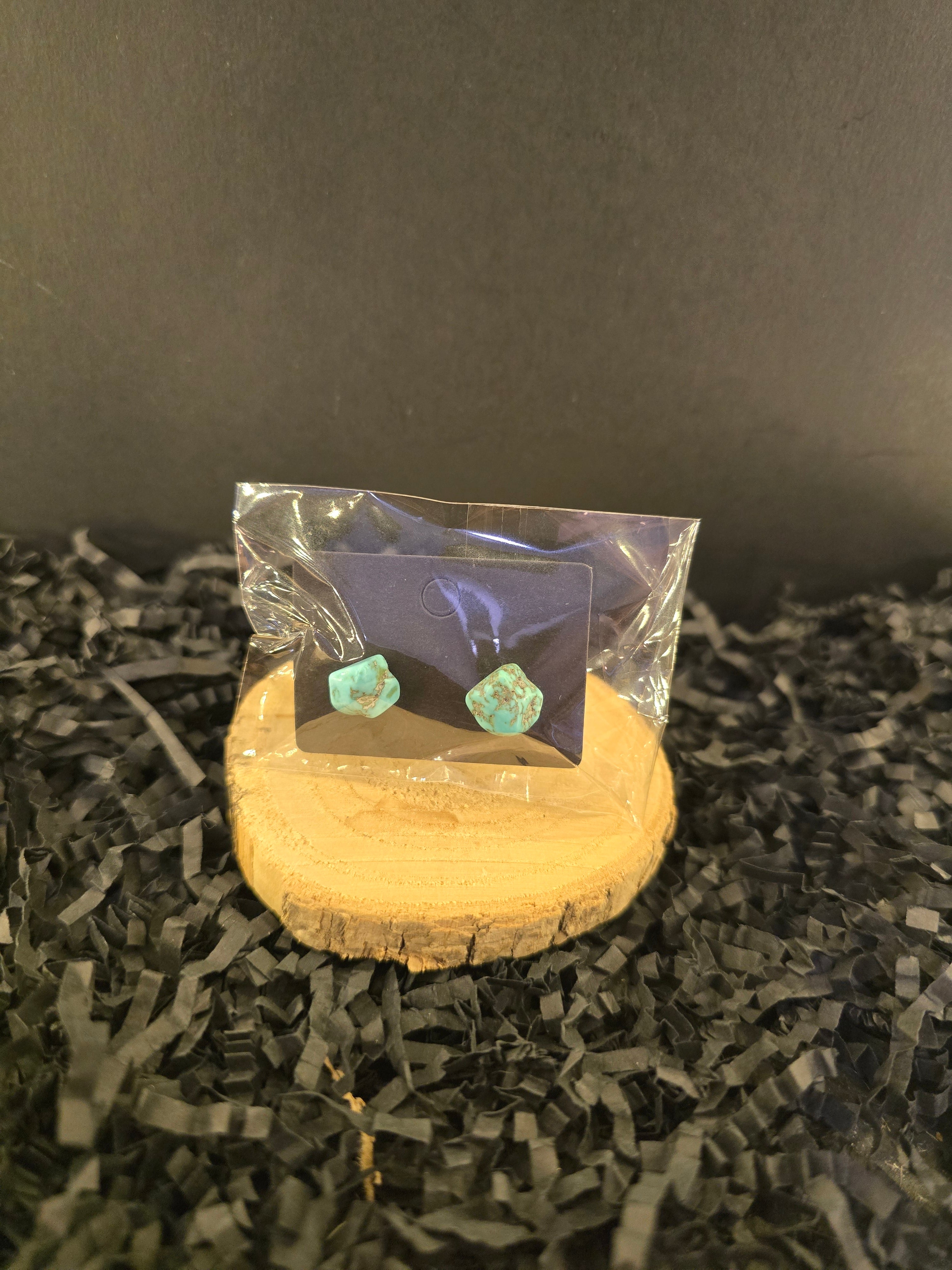 Turquoise Stud Earrings